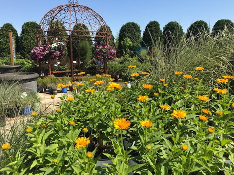The Outdoor Garden Walk That Resets Your Day
