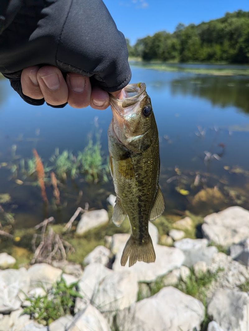 Fishing at Lake Ahquabi and What You Might Catch