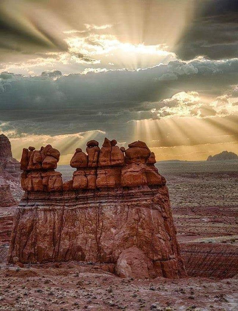 Why Timing Your Visit Changes Everything