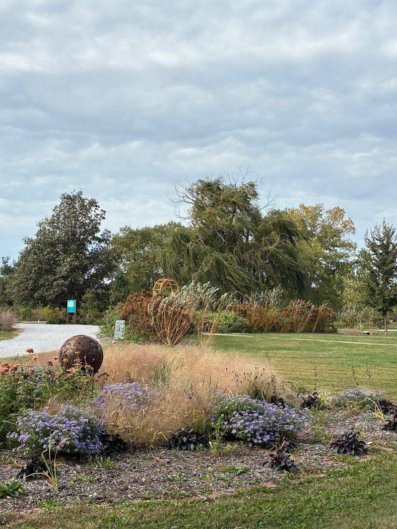Birds Butterflies and Native Plants