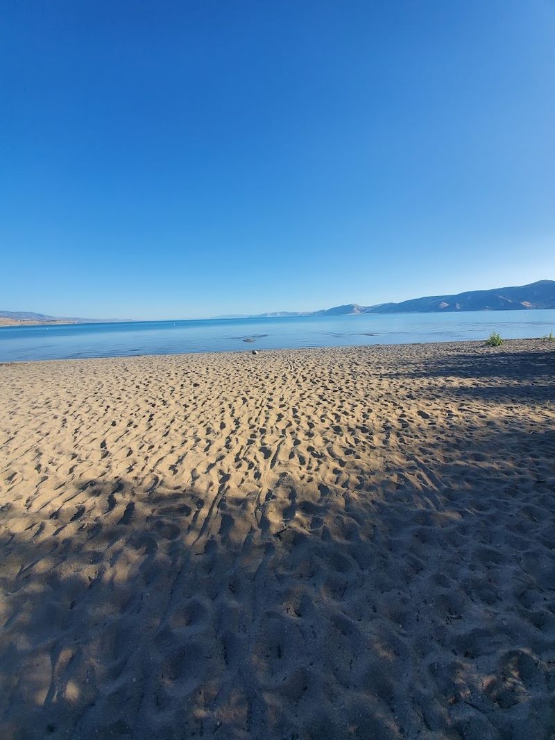 Soft Sand and Tiny Seashells Underfoot