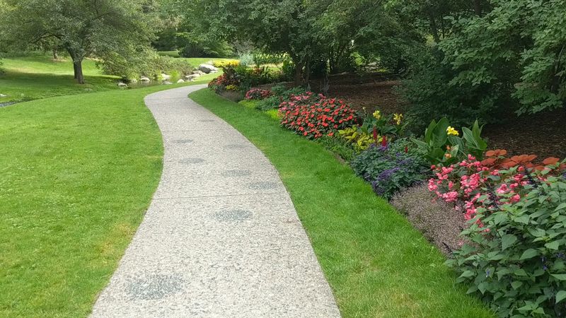 The Children's Garden Connection