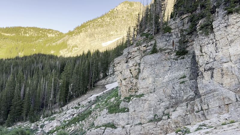 The Switchbacks: Where the Trail Gets Honest With You