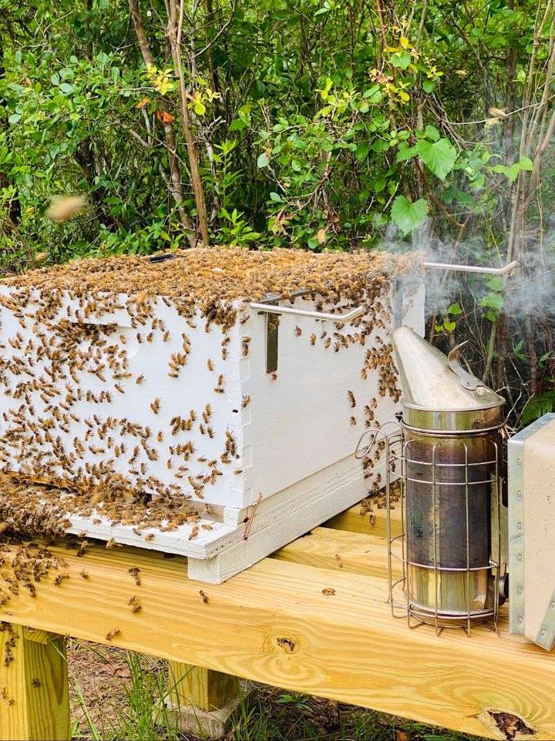 A Local Honey Habit Became A Brand In 2019