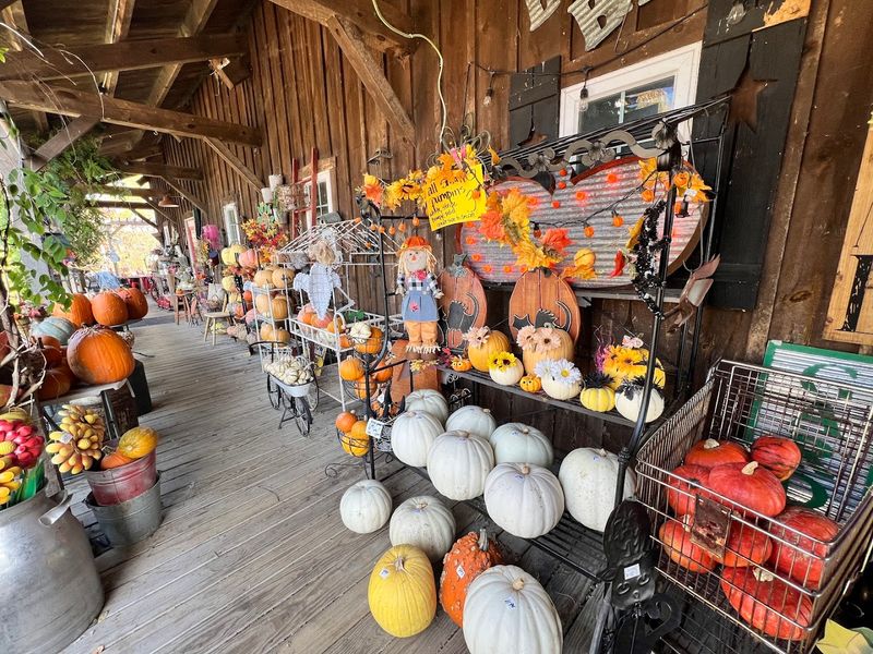 A Market That Feels Like Home Before You Even Walk In