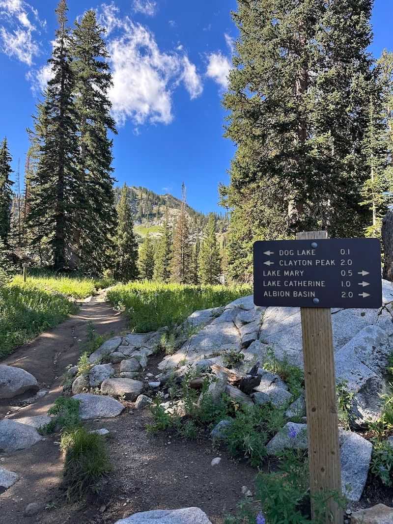 Where the Trail Begins and What to Expect at the Start