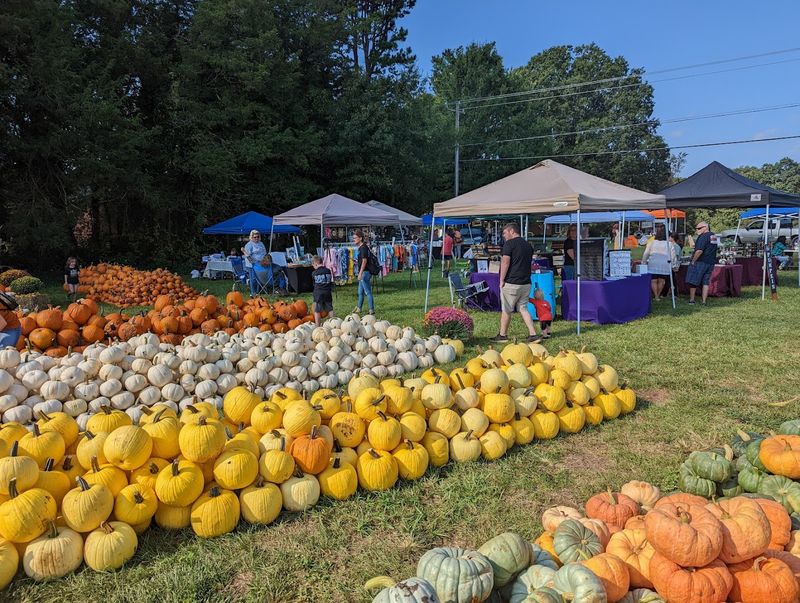 Why Robertson Family Farm Feels Like A Real Roadside Reward