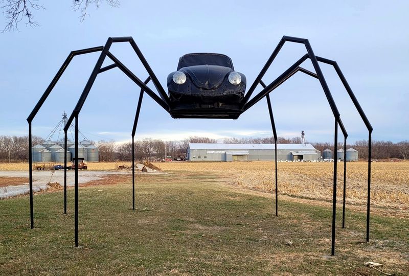 What Exactly Is the Volkswagen Beetle Spider