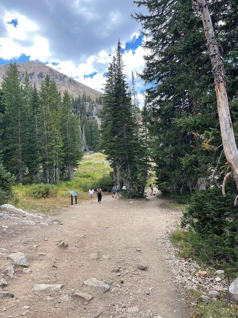The Trail Itself: What You're Actually Getting Into
