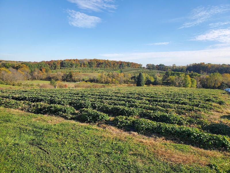A Farm With Deep Roots And A Growing Story
