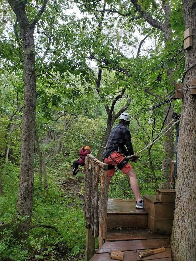 The Course Is Built Into A Real Forest Canopy