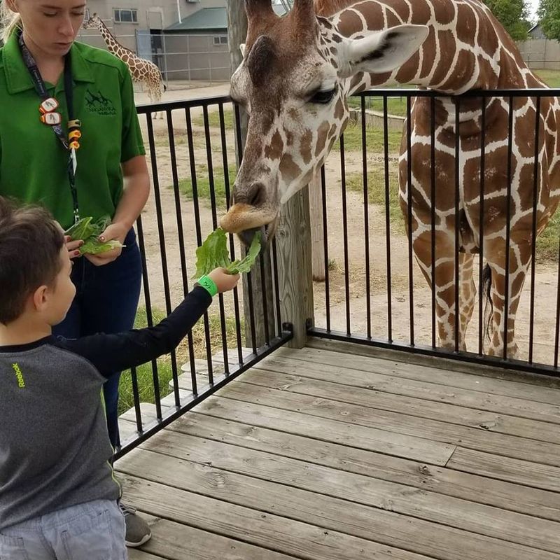 The Park That Redefines What A Zoo Can Be