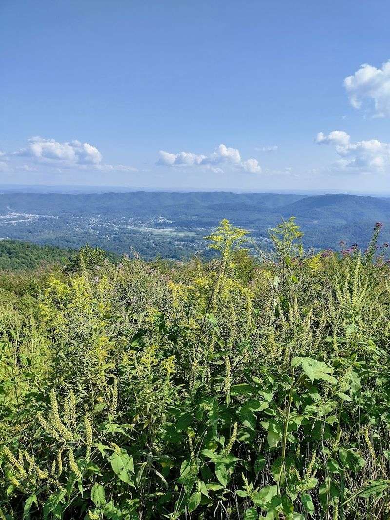 A Mountain Basin Keeps Middlesboro Wrapped In Green