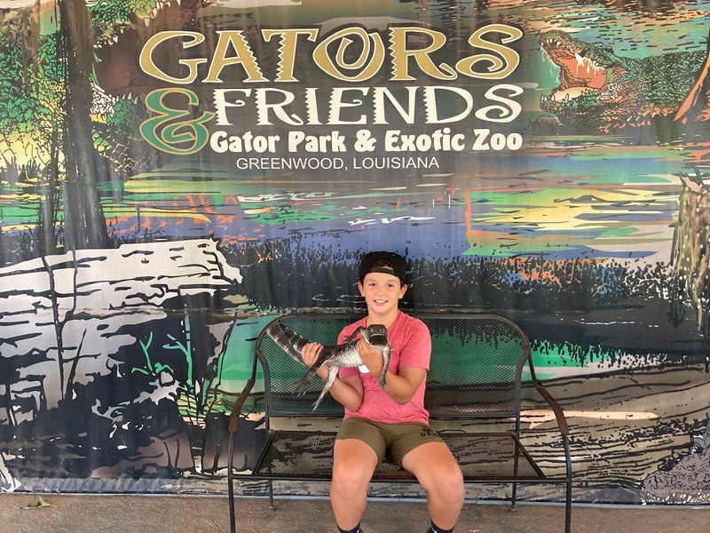 Baby Gator Encounters