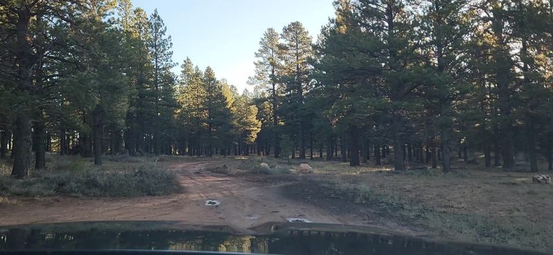 The Road That Tests Your Commitment Before You Even Arrive