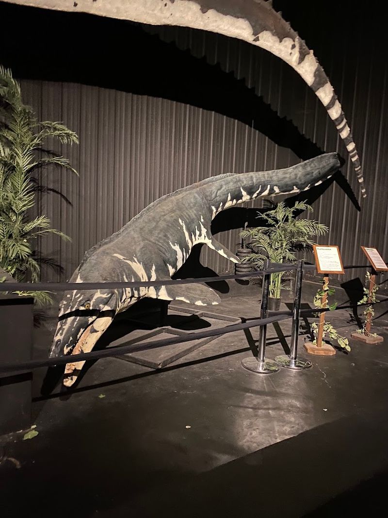 The Small Theater Showing Dinosaur Documentaries