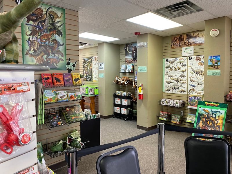 A Gift Shop With Dinosaur Souvenirs Worth Browsing