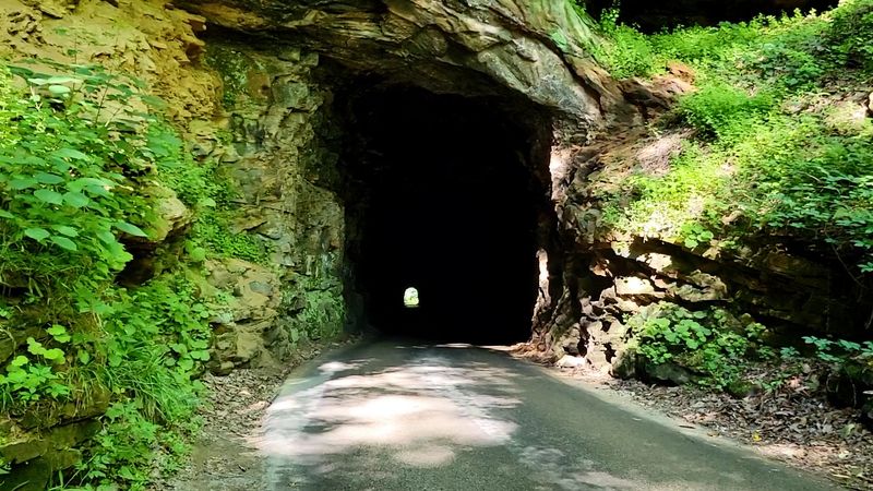A Timber Company Needed A Shortcut Through Stone