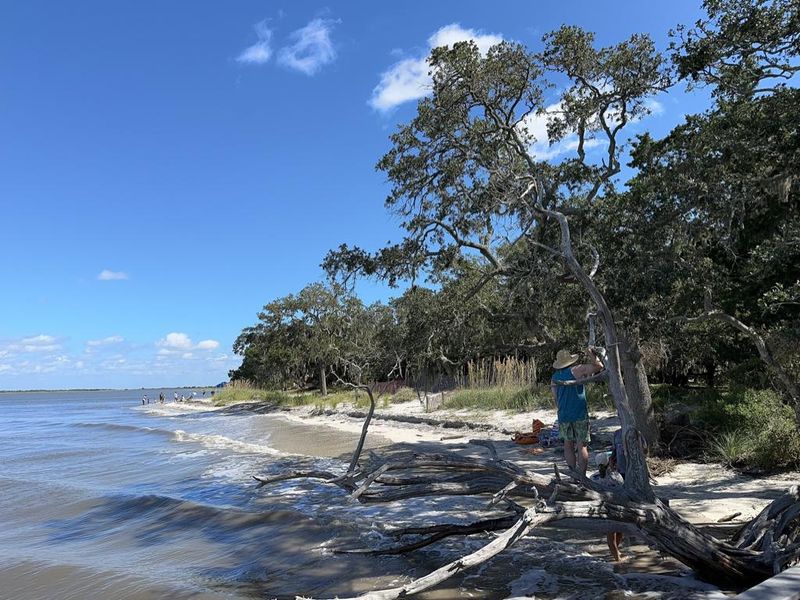 Early Walks Turn Beachcombing Into A Coastal Treasure Hunt