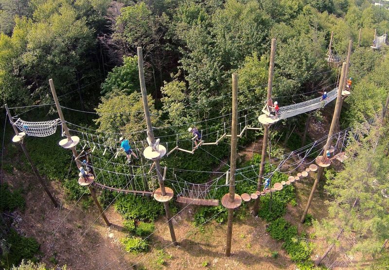 Five Ropes Courses Turn The Treetops Into A Moving Puzzle