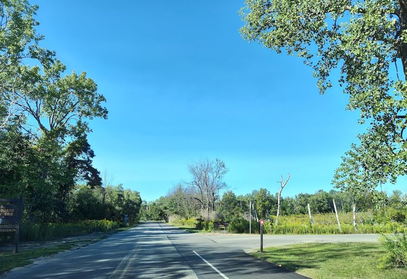 The Drive That Pays Off