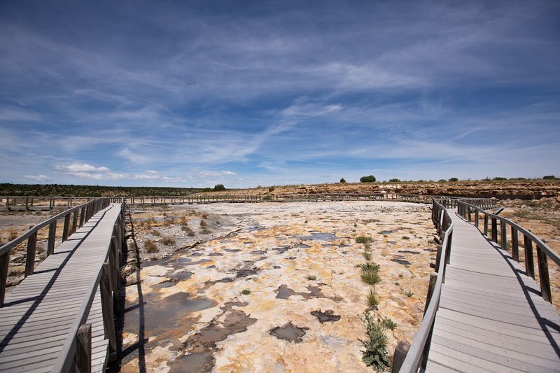 A Boardwalk Through Prehistoric Time