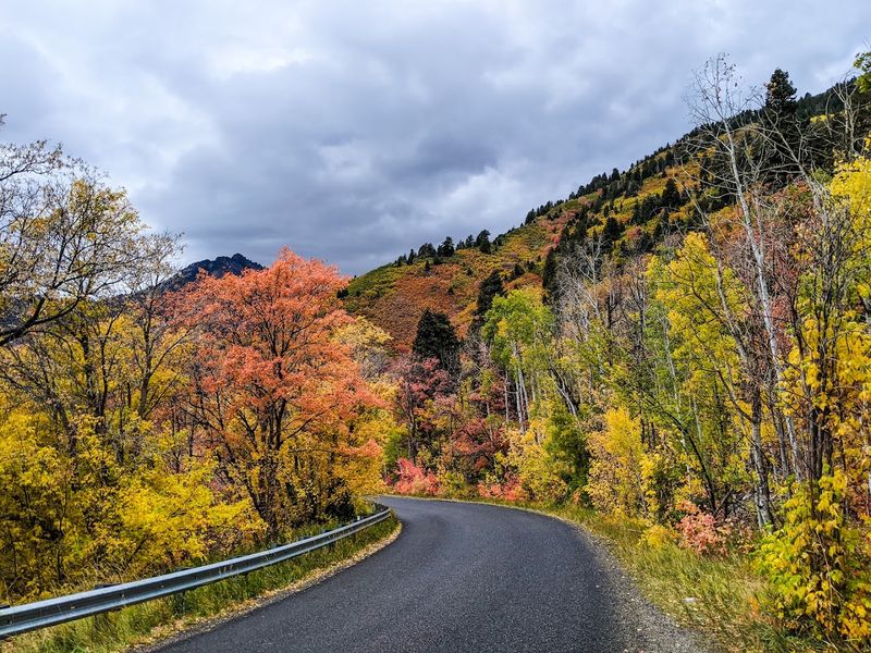 The Drive That Plans Itself: Starting The Alpine Loop