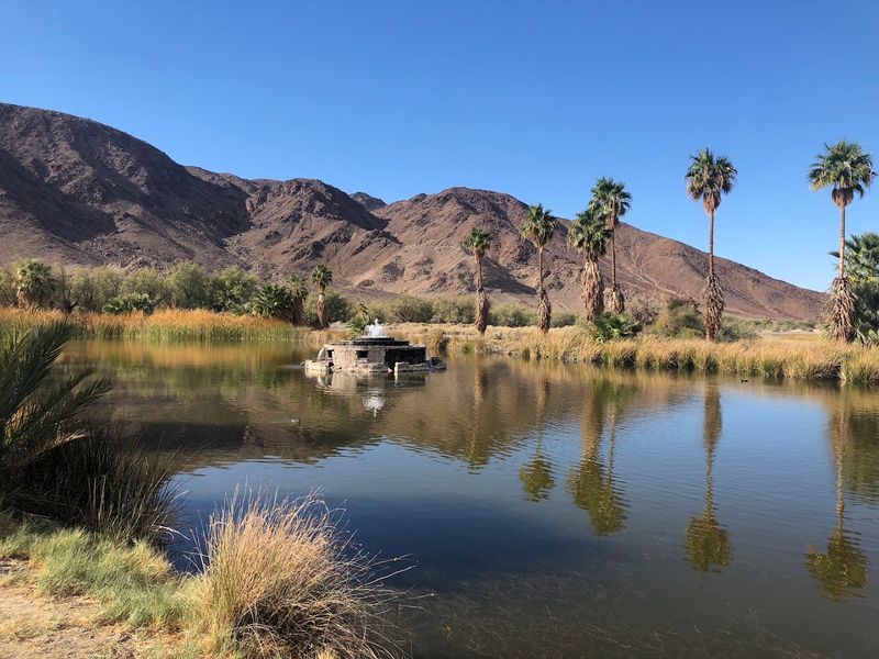 The Desert Lake That Should Not Exist