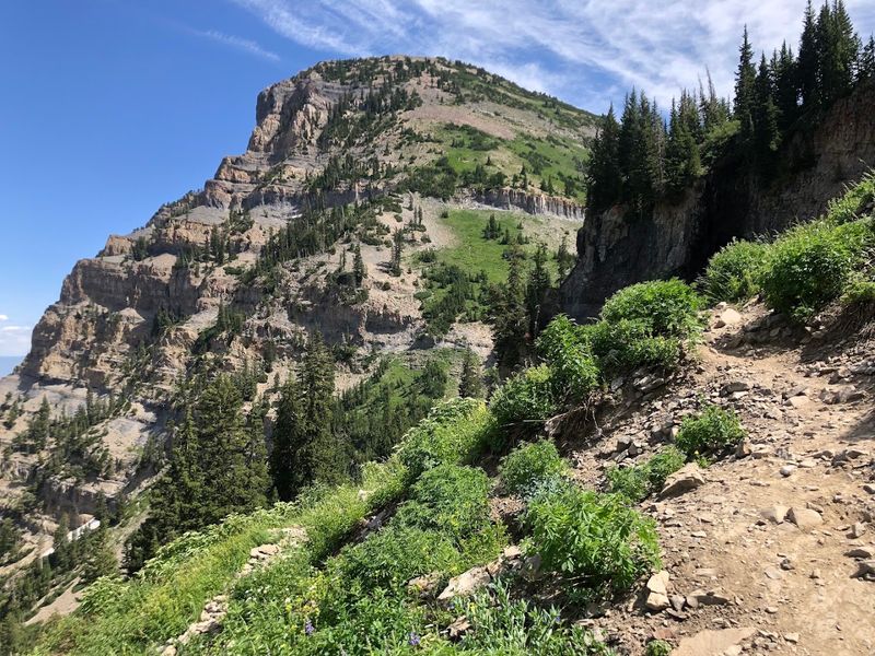 Where the Trail Begins: Aspen Grove Trailhead Essentials
