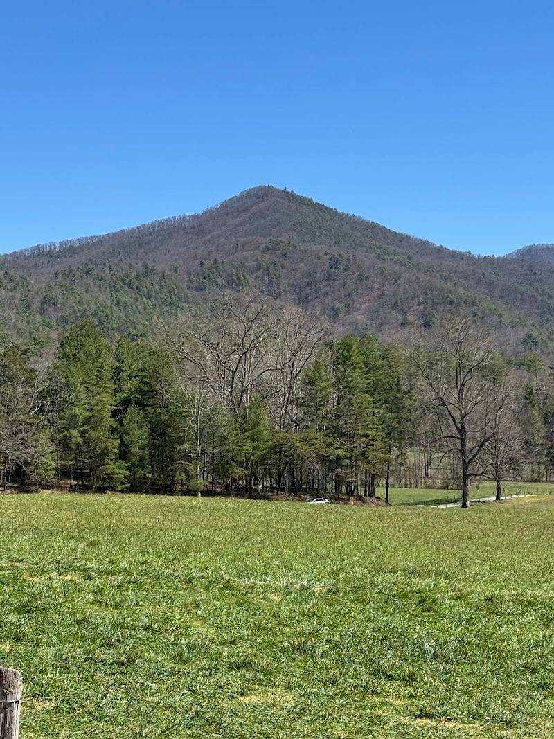 The Smoky Mountains Get Some Colorful Competition