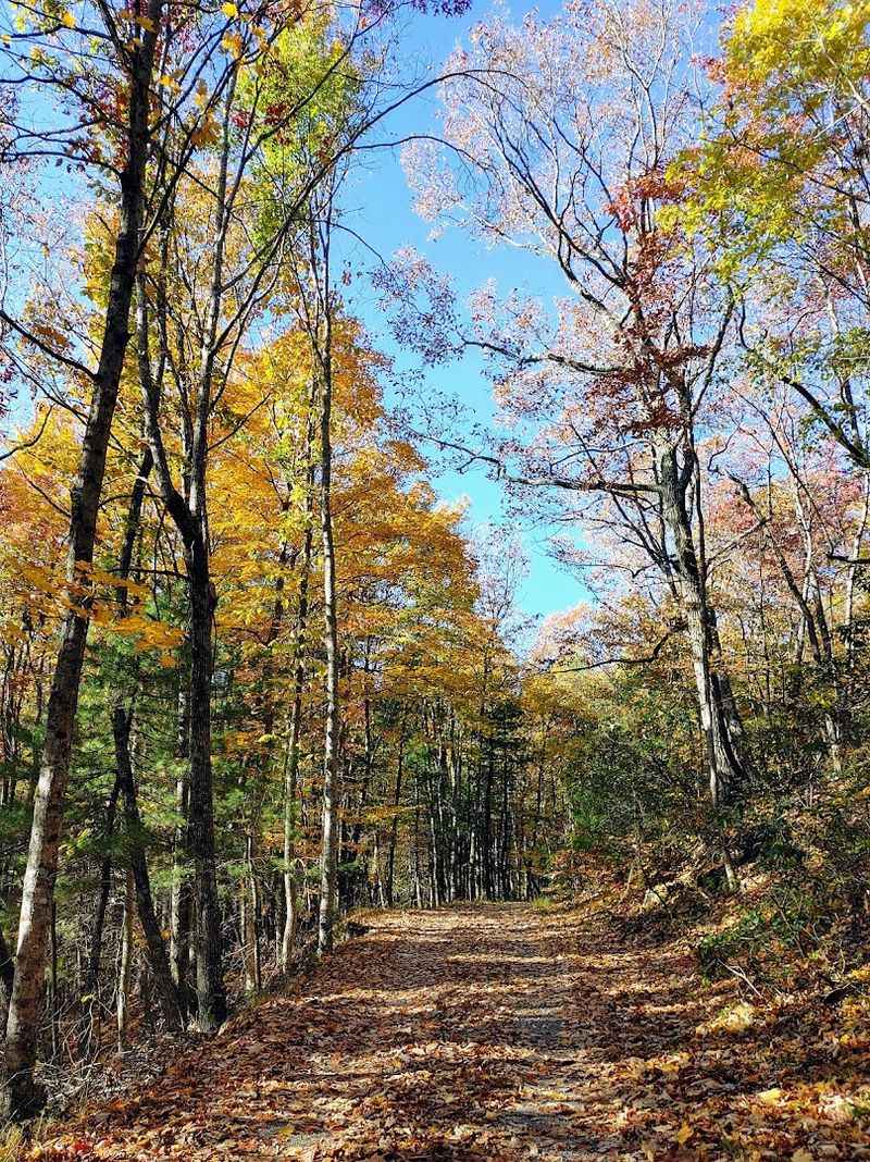 The Trail Starts Normally Before The Mountain Gets Weird