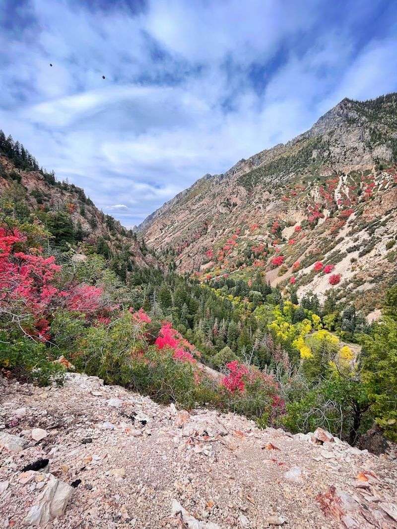 Mount Timpanogos: The Peak That Defines the Skyline
