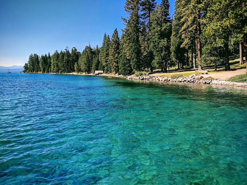 Ed Z'berg Sugar Pine Point State Park