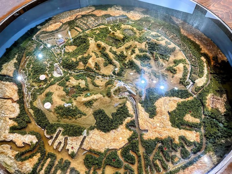 Mind The Salt Mine Experience