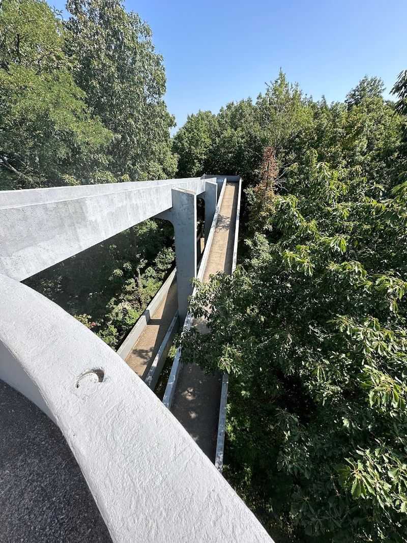 The Paved Trail Still Makes Gravity Collect Its Fee