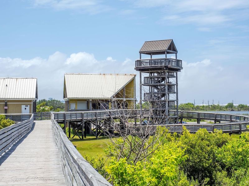 The Observation Tower's Embrace