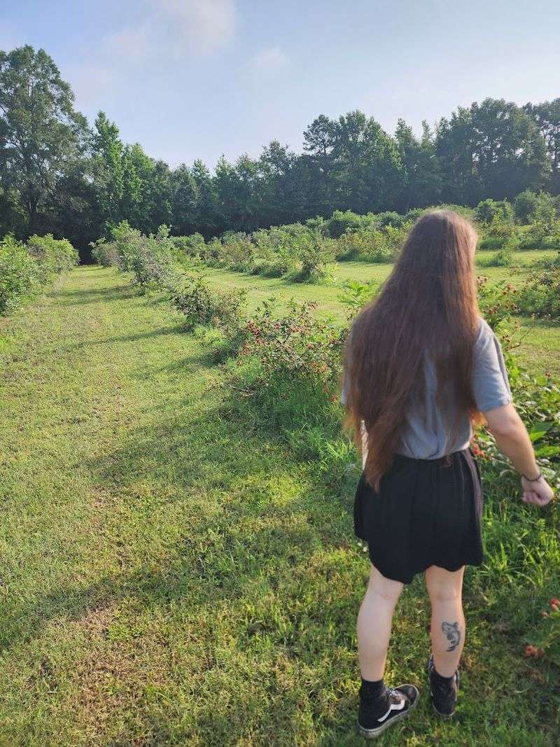 Navigating The Rows With Ease