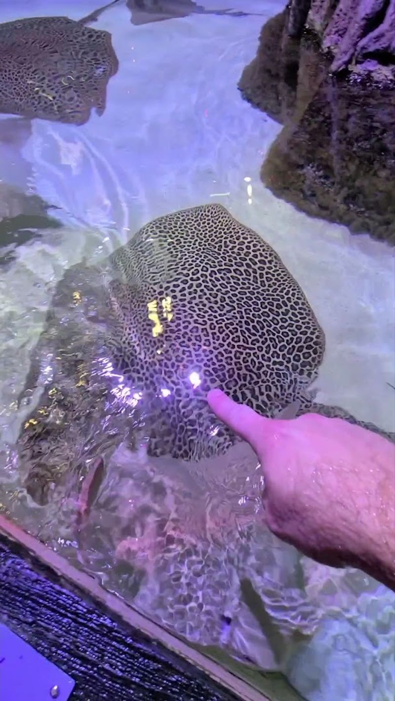 Combine Mining With Touch Tanks