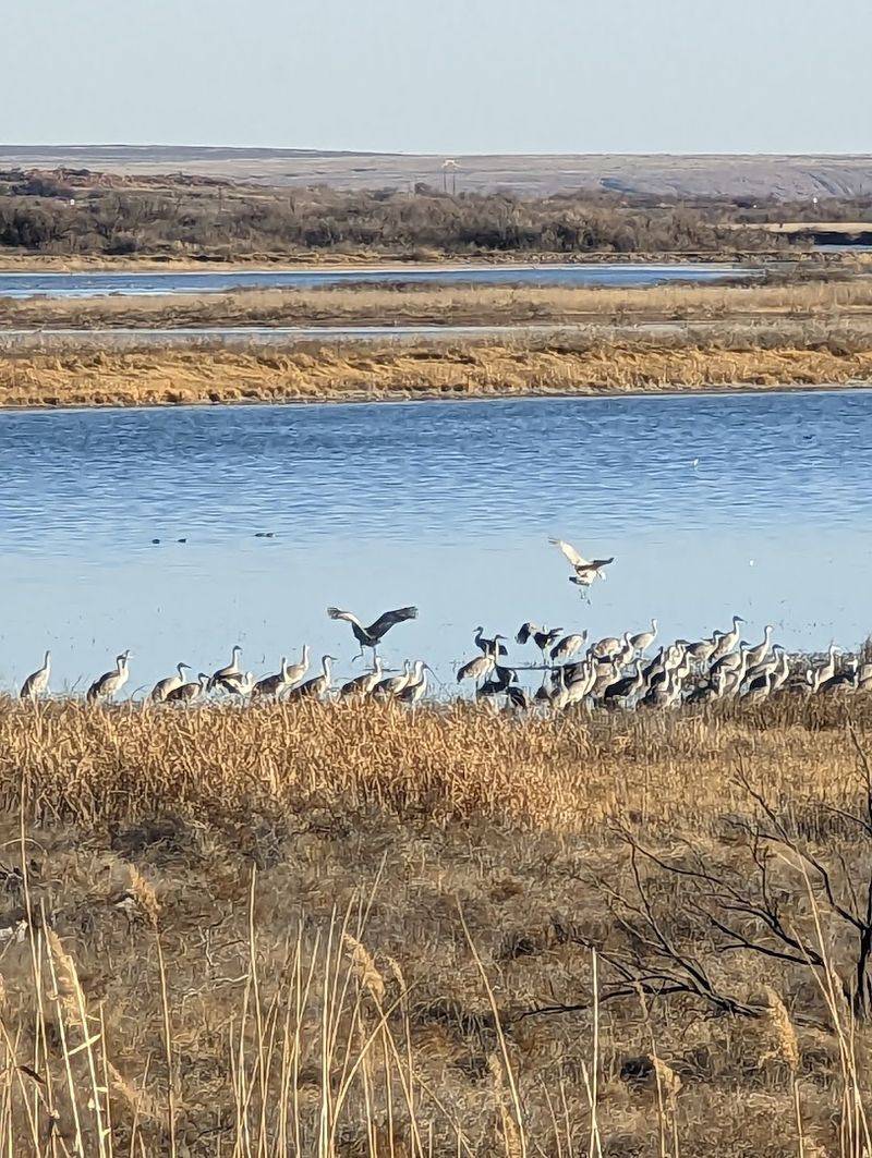 Bitter Lake National Wildlife Refuge