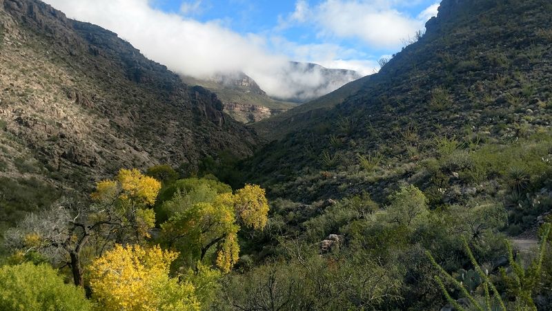 Oliver Lee Memorial State Park, Alamogordo