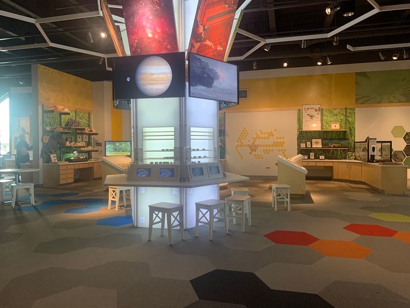 The Geology And Mineral Cabinet That Glows Under Black Light