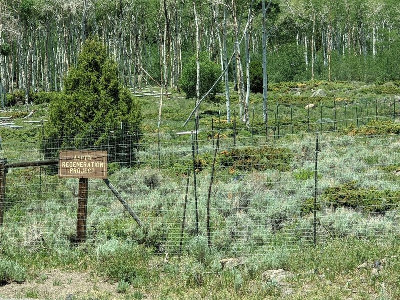 The Fencing, The Gates, And Why The Protective Infrastructure Actually Matters