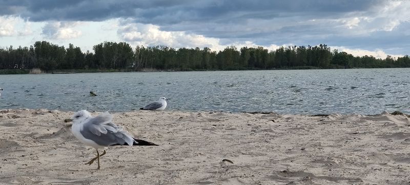 A Playground Close To The Shore