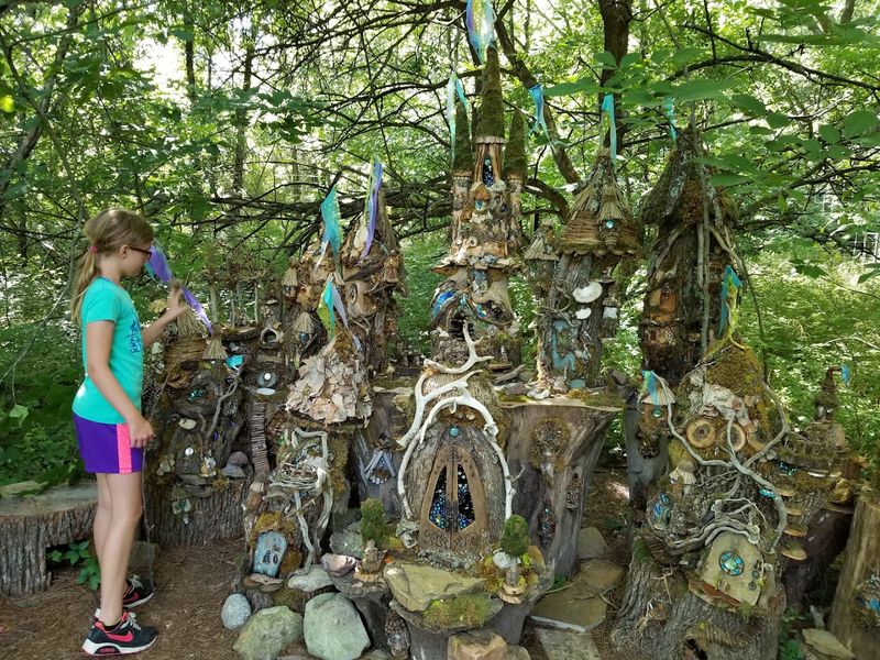 Educational Programs And Environmental Events