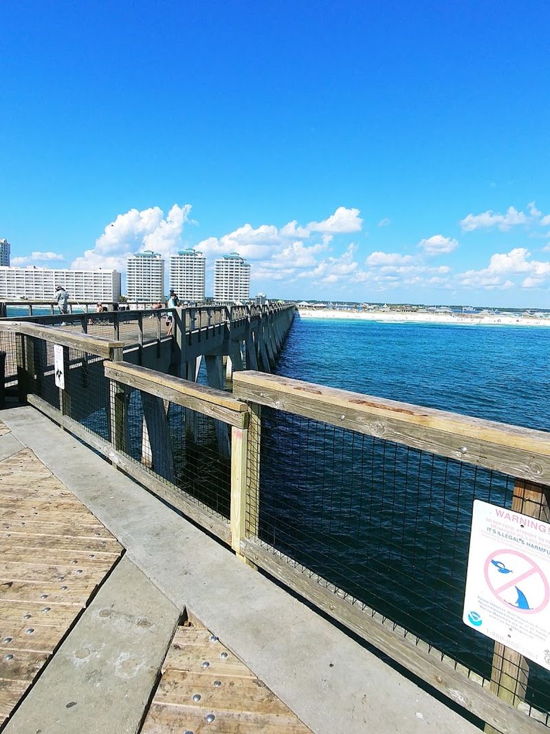 The Navarre Beach Marine Sanctuary