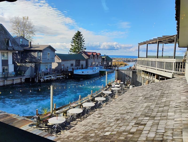 The Cove