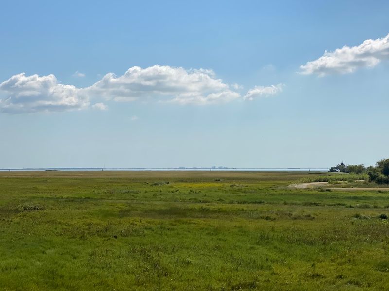 Blue Goose Trail