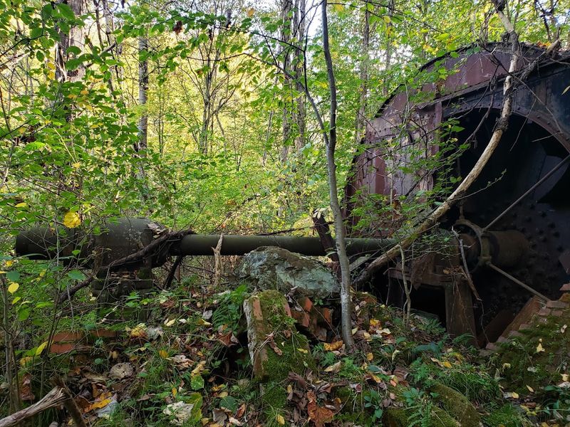 Reading The Ruins Along The Path