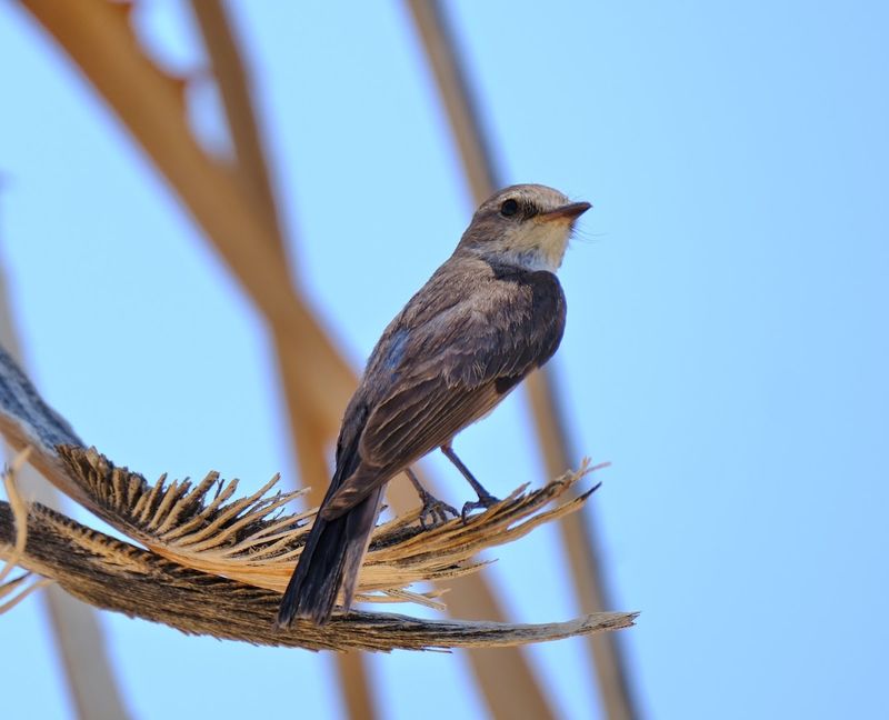 The Wildlife Living In An Unlikely Place