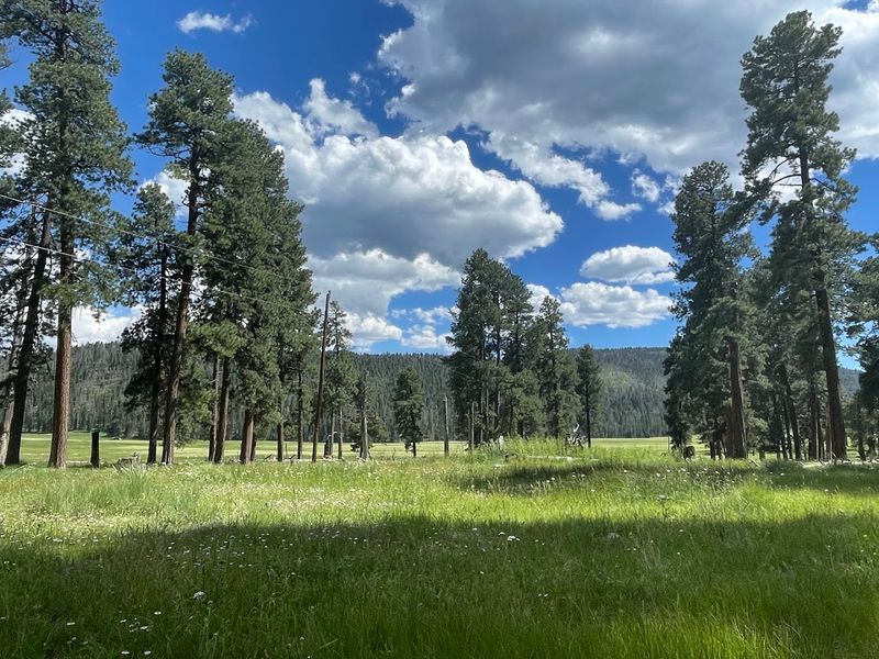 Valles Caldera National Preserve